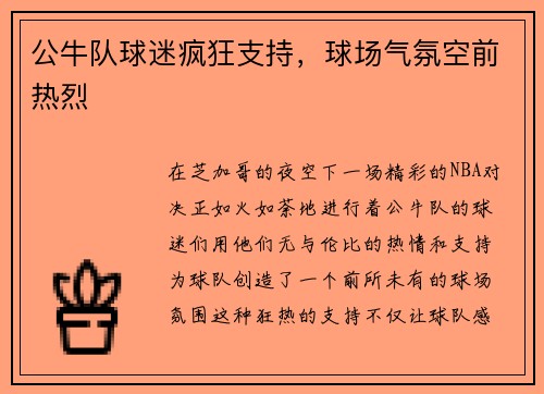 公牛队球迷疯狂支持，球场气氛空前热烈
