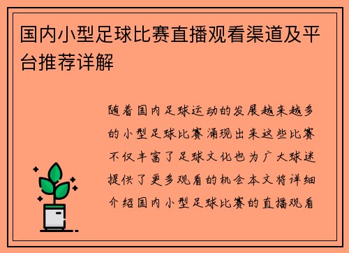 国内小型足球比赛直播观看渠道及平台推荐详解